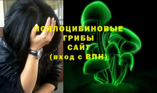 экстази Дмитриев